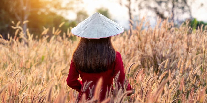 giới thiệu